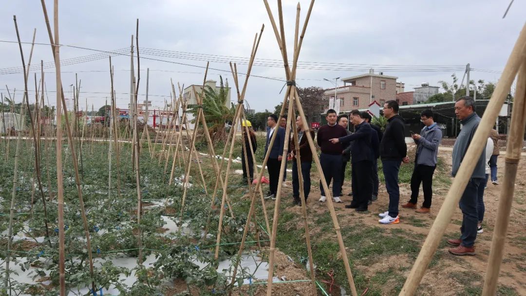 打贏脫貧攻堅戰為美麗鄉村建設助力添翼 | 大橫琴集團黨委書記田偉帶隊赴陽西縣實地調研扶貧工作
